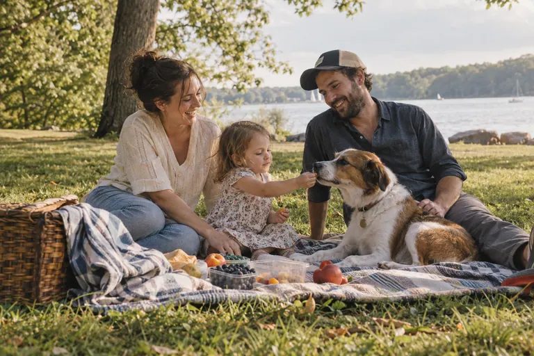 Family and dog sharing a picnic in the park; conceptual image